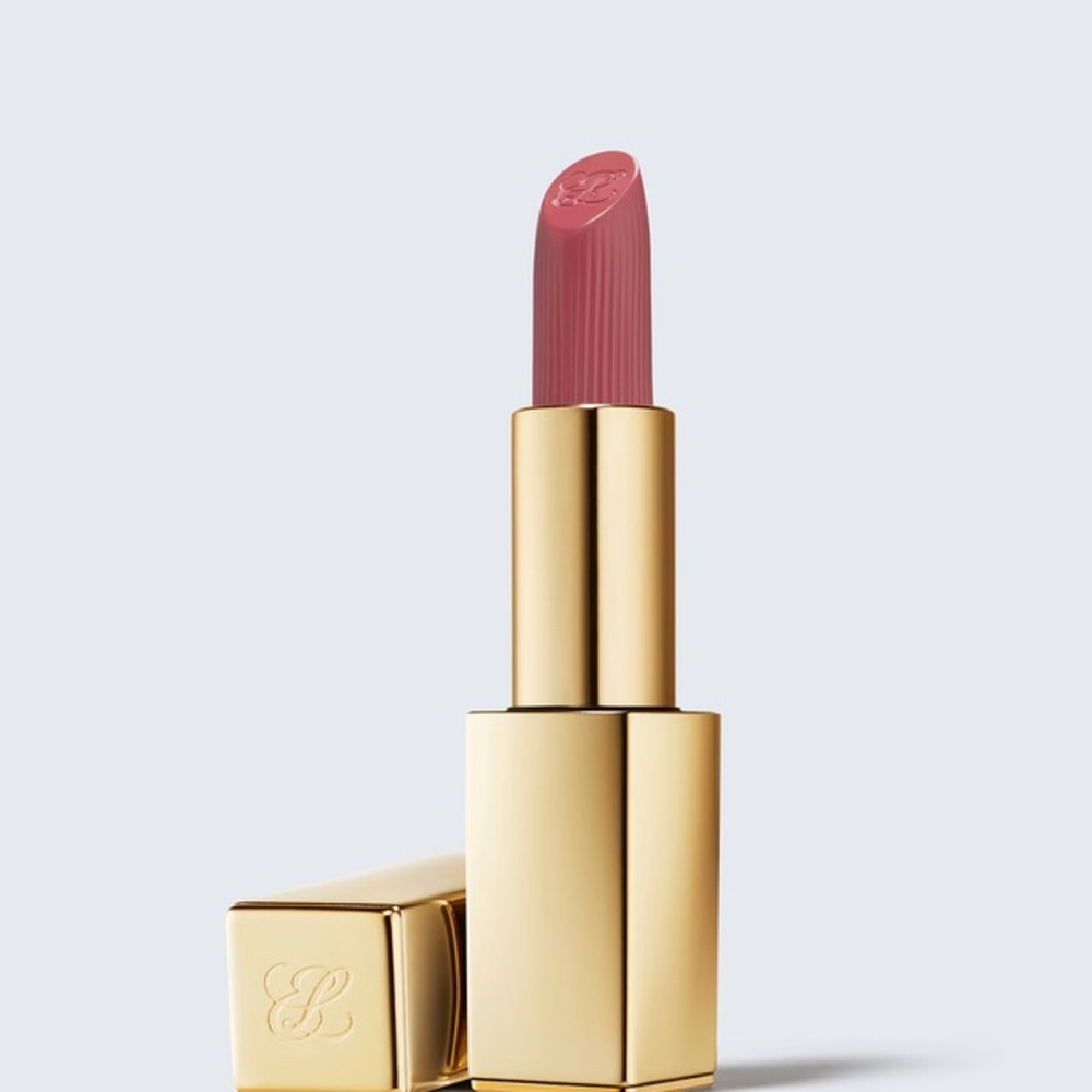 NWT Estée Lauder Long wearing Lipstick 669 STOLEN HEART